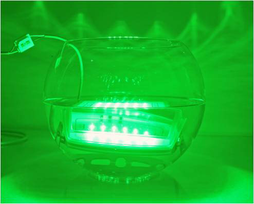 ไฟไดหมึก led สีเขียว - Squid attraction light green led